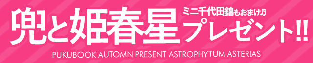 多肉植物専門店ビスタさんのサボテン「兜」と「姫春星」をセットでプレゼント!