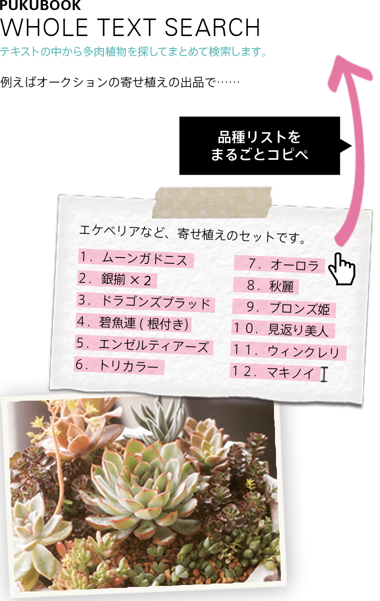 多肉図鑑 Pukubook プクブック 好き が見つかる多肉植物図鑑